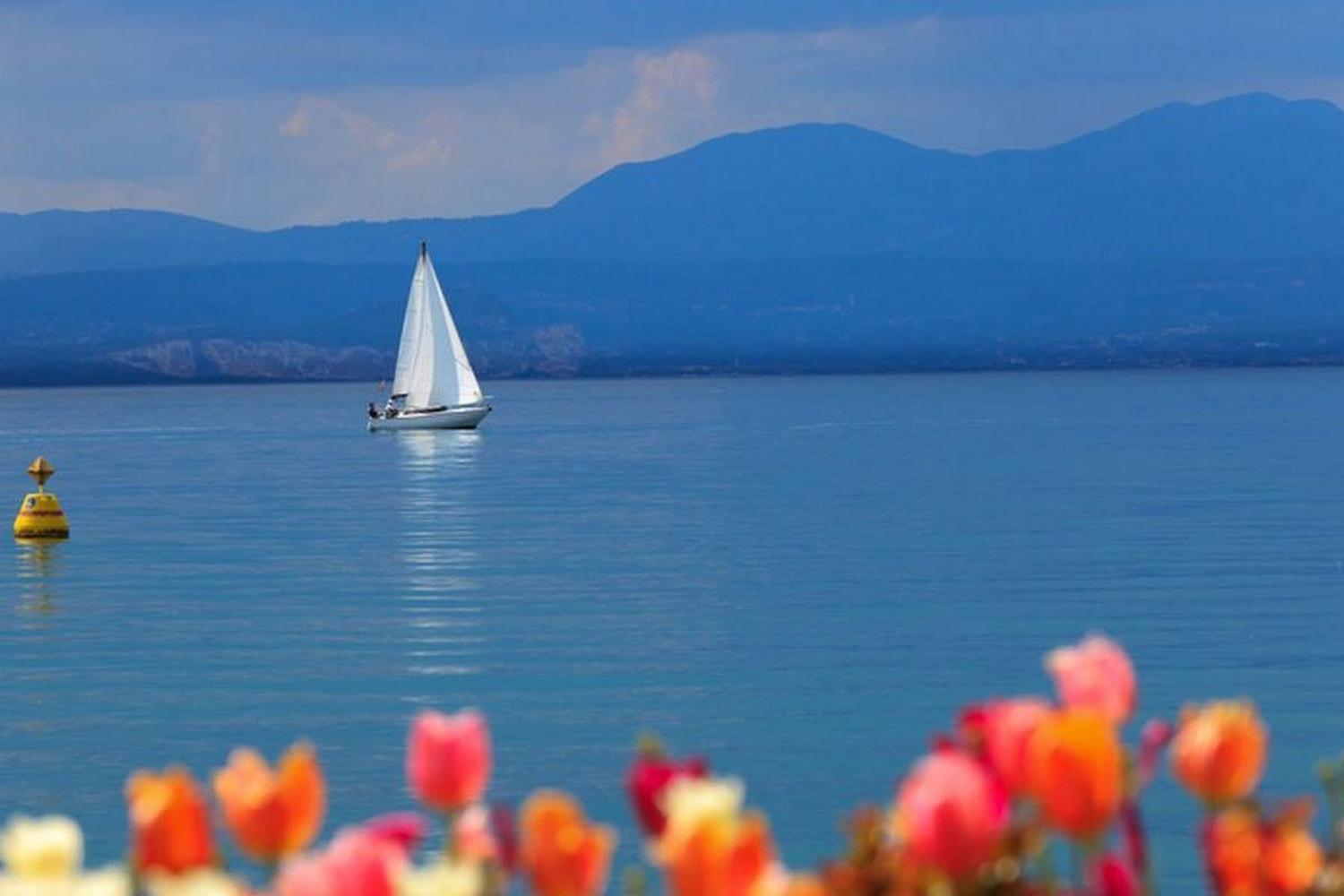 Appartamento Agli Ulivi Desenzano del Garda Exteriér fotografie